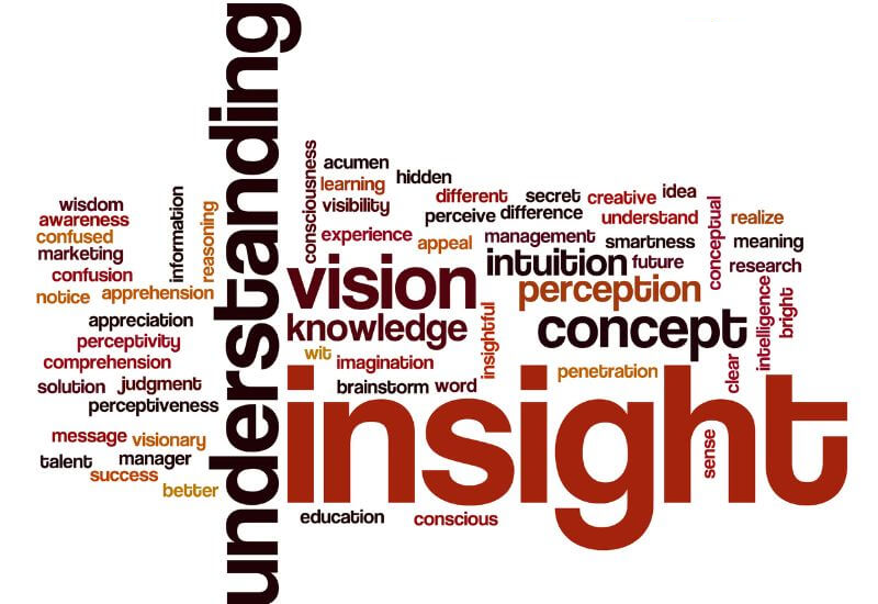 Insights