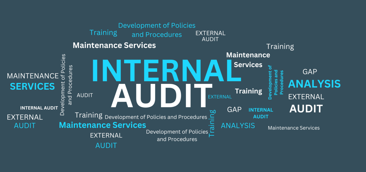 Internal audit services
