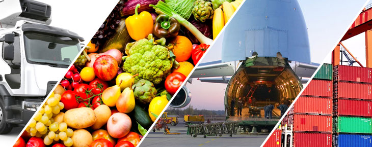 Perishable Logistics