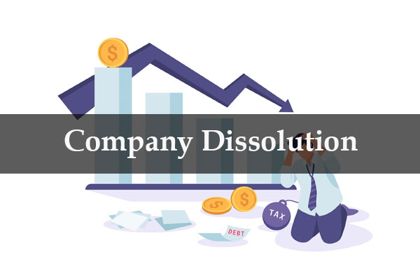 Dissolution of the company