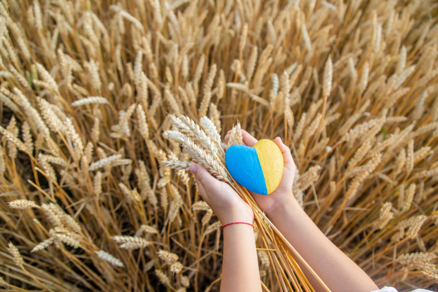 Ukraine: Two Years of Wheat Exports In Review